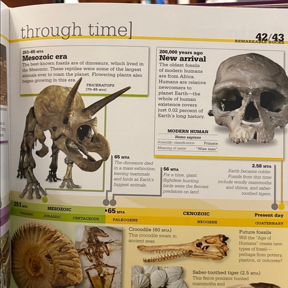 4/$20 Rocks and Minerals Book by Dan Green - Picture 4 of 4